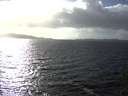 ./images/koeye/fitz-hugh/20141013/fitz-hugh20141013_161002.jpg