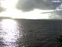 ./images/koeye/fitz-hugh/20141013/fitz-hugh20141013_162502.jpg