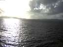 ./images/koeye/fitz-hugh/20141013/fitz-hugh20141013_163503.jpg