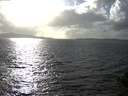 ./images/koeye/fitz-hugh/20141013/fitz-hugh20141013_164002.jpg