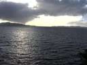 ./images/koeye/fitz-hugh/20141013/fitz-hugh20141013_165002.jpg