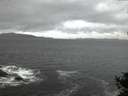 ./images/koeye/fitz-hugh/20141014/fitz-hugh20141014_072503.jpg