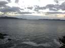 ./images/koeye/fitz-hugh/20141014/fitz-hugh20141014_080002.jpg