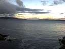 ./images/koeye/fitz-hugh/20141014/fitz-hugh20141014_082502.jpg
