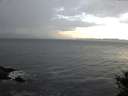 ./images/koeye/fitz-hugh/20141014/fitz-hugh20141014_084003.jpg