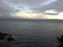 ./images/koeye/fitz-hugh/20141014/fitz-hugh20141014_085003.jpg