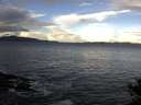 ./images/koeye/fitz-hugh/20141014/fitz-hugh20141014_094001.jpg