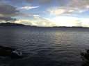 ./images/koeye/fitz-hugh/20141014/fitz-hugh20141014_094502.jpg