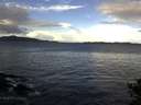 ./images/koeye/fitz-hugh/20141014/fitz-hugh20141014_095001.jpg