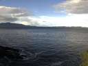 ./images/koeye/fitz-hugh/20141014/fitz-hugh20141014_101003.jpg