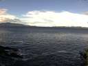 ./images/koeye/fitz-hugh/20141014/fitz-hugh20141014_103502.jpg
