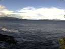./images/koeye/fitz-hugh/20141014/fitz-hugh20141014_104002.jpg