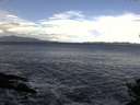 ./images/koeye/fitz-hugh/20141014/fitz-hugh20141014_104502.jpg