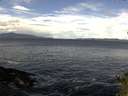 ./images/koeye/fitz-hugh/20141014/fitz-hugh20141014_105502.jpg