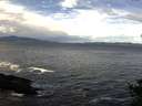 ./images/koeye/fitz-hugh/20141014/fitz-hugh20141014_111003.jpg