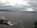 ./images/koeye/fitz-hugh/20141014/fitz-hugh20141014_120502.jpg