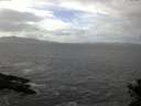 ./images/koeye/fitz-hugh/20141014/fitz-hugh20141014_131002.jpg