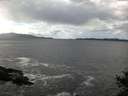./images/koeye/fitz-hugh/20141014/fitz-hugh20141014_132002.jpg