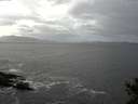 ./images/koeye/fitz-hugh/20141014/fitz-hugh20141014_140003.jpg