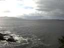 ./images/koeye/fitz-hugh/20141014/fitz-hugh20141014_140501.jpg