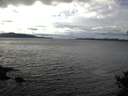 ./images/koeye/fitz-hugh/20141014/fitz-hugh20141014_145003.jpg