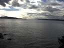 ./images/koeye/fitz-hugh/20141014/fitz-hugh20141014_155003.jpg