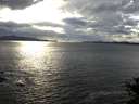 ./images/koeye/fitz-hugh/20141014/fitz-hugh20141014_164501.jpg
