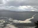 ./images/koeye/fitz-hugh/20141014/fitz-hugh20141014_174003.jpg