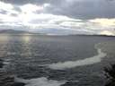 ./images/koeye/fitz-hugh/20141014/fitz-hugh20141014_174502.jpg