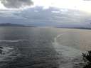 ./images/koeye/fitz-hugh/20141014/fitz-hugh20141014_180503.jpg