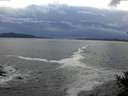 ./images/koeye/fitz-hugh/20141014/fitz-hugh20141014_181003.jpg
