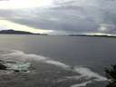 ./images/koeye/fitz-hugh/20141014/fitz-hugh20141014_190501.jpg