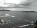 ./images/koeye/fitz-hugh/20141015/fitz-hugh20141015_072501.jpg
