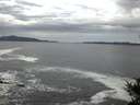 ./images/koeye/fitz-hugh/20141015/fitz-hugh20141015_073502.jpg