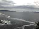 ./images/koeye/fitz-hugh/20141015/fitz-hugh20141015_074502.jpg