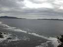 ./images/koeye/fitz-hugh/20141015/fitz-hugh20141015_075001.jpg