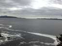 ./images/koeye/fitz-hugh/20141015/fitz-hugh20141015_075501.jpg