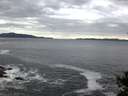 ./images/koeye/fitz-hugh/20141015/fitz-hugh20141015_080501.jpg