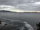 ./images/koeye/fitz-hugh/20141015/fitz-hugh20141015_081002.jpg