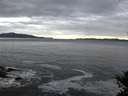 ./images/koeye/fitz-hugh/20141015/fitz-hugh20141015_081503.jpg