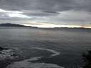 ./images/koeye/fitz-hugh/20141015/fitz-hugh20141015_082503.jpg