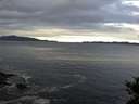 ./images/koeye/fitz-hugh/20141015/fitz-hugh20141015_085503.jpg