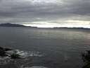 ./images/koeye/fitz-hugh/20141015/fitz-hugh20141015_095501.jpg