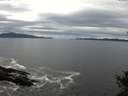 ./images/koeye/fitz-hugh/20141015/fitz-hugh20141015_124502.jpg