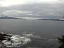 ./images/koeye/fitz-hugh/20141015/fitz-hugh20141015_131502.jpg