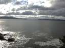 ./images/koeye/fitz-hugh/20141015/fitz-hugh20141015_151503.jpg