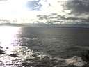 ./images/koeye/fitz-hugh/20141015/fitz-hugh20141015_161003.jpg