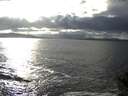 ./images/koeye/fitz-hugh/20141015/fitz-hugh20141015_162502.jpg