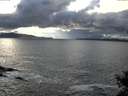 ./images/koeye/fitz-hugh/20141015/fitz-hugh20141015_163501.jpg