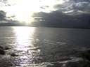 ./images/koeye/fitz-hugh/20141015/fitz-hugh20141015_165501.jpg